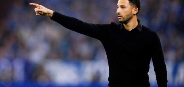 صاحب اللقب الواحد.. بلجيكا تعلن مدربها الجديد