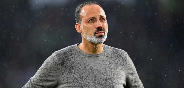 مدرب مرموش السابق يتولى قيادة هوفنهايم